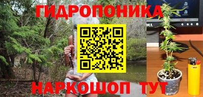 кокс Краснодар